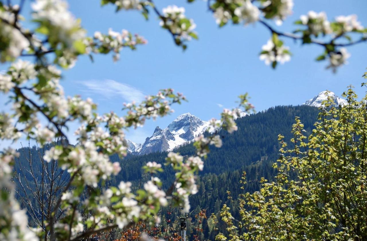 Apartamento Landhaus Bergner Alm Fusch an der Glocknerstraße Exterior foto