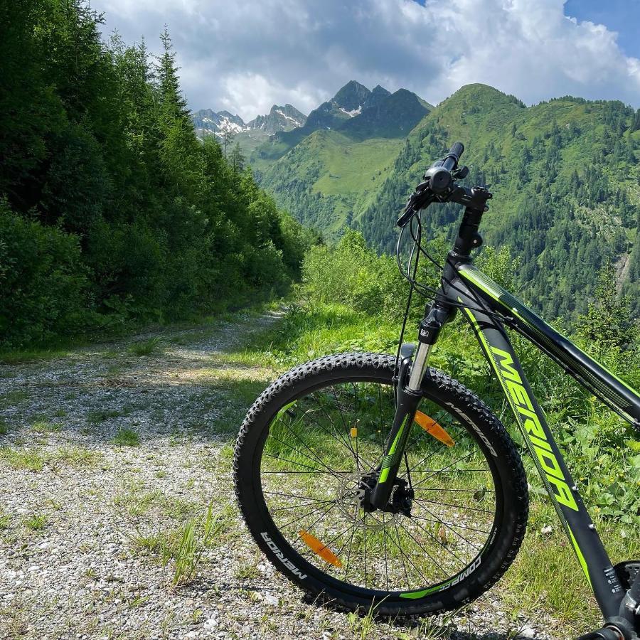 Apartamento Landhaus Bergner Alm Fusch an der Glocknerstraße Exterior foto